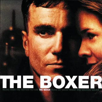 The Boxer by Gavin Friday