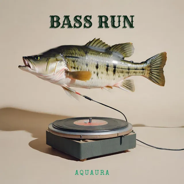 Bass Run