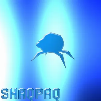 shaqpaq by bir kyz