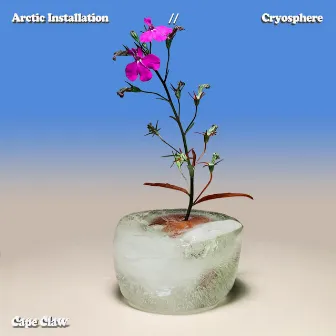 Arctic Installation // CryoSphere by Cape Claw