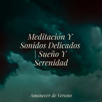 Meditación Y Sonidos Delicados | Sueño Y Serenidad by Calming Sounds