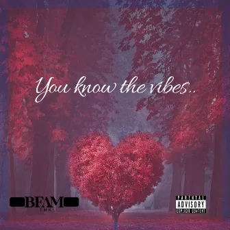 You Know The Vibes.. by Bfam