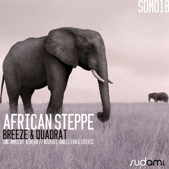 African Steppe