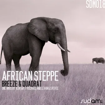 African Steppe by Breeze & Quadrat