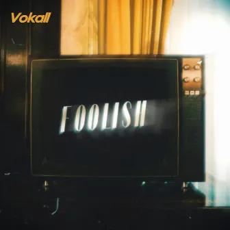 Foolish by Tally Schwenk