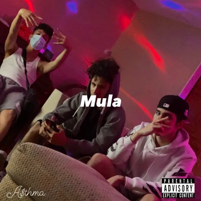 Mula