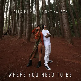 Where You Need To Be by Alex Milani