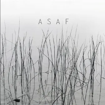 Asaf by ASAF