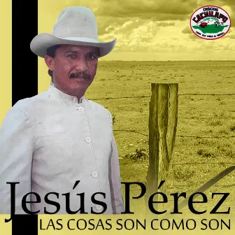 Las Cosas Son Como Son by Jesús Pérez