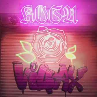 Rosa by Villax