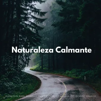 Música Para Bebés: Naturaleza Calmante Y Ambiente De Lluvia Para Un Sueño Tranquilo by Ricky sonido de lluvia