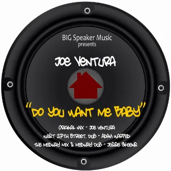 Do You Want Me Baby by Joe Ventura