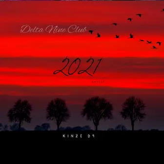 2021 by Kinze D9