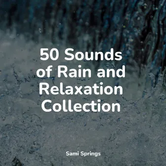 50 Sounds of Rain and Relaxation Collection by Sampling XL