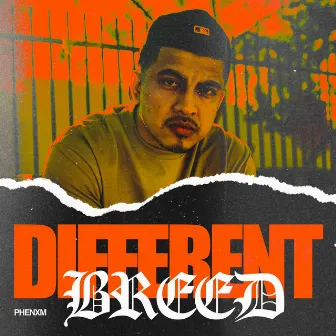 Different Breed by PHENXM