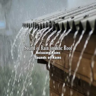 Sound of Rain on Zinc Roof by Relaxing Rains