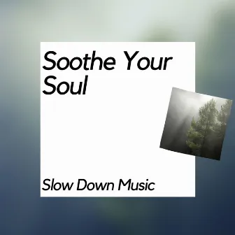 Soothe Your Soul and Slow Down Music by Nature Meditation Channel