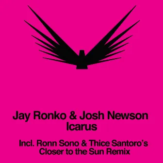 Icarus by Jay Ronko