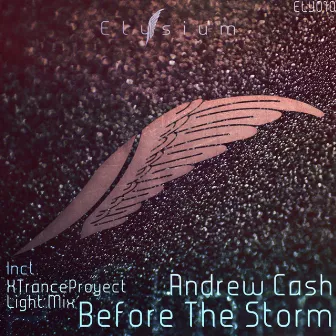 Before The Storm by Andrew Cash