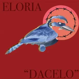 The Dacelo by Eloria