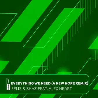 Everything We Need (A New Hope Remix) by A New Hope