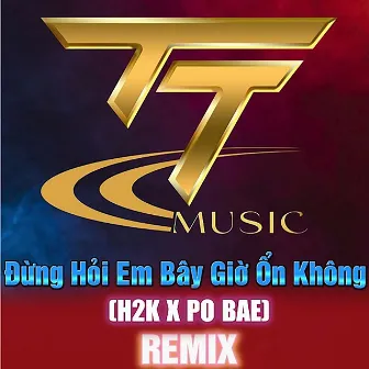 Đừng Hỏi Em Ổn Không (Remix) by Po Bae