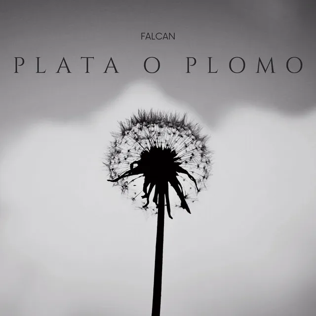 Plata o Plomo