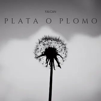 Plata o Plomo by Falcan