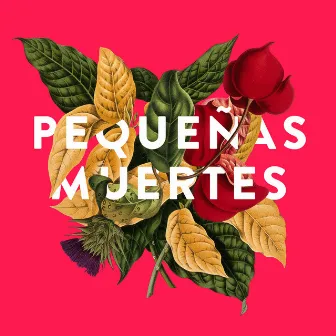 Pequeñas Muertes by Karla Kobach