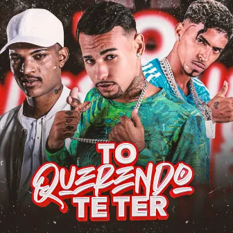 Tô Querendo Te Ter by Unknown Artist