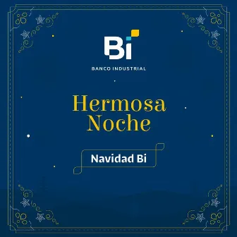 Hermosa Noche by Banco Industrial