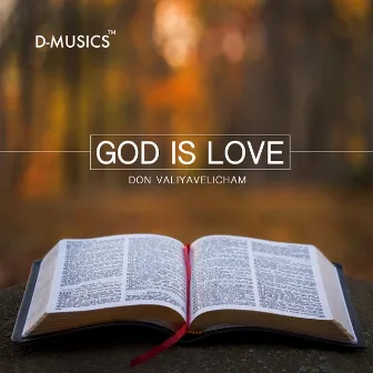 God Is Love by Don Valiyavelicham