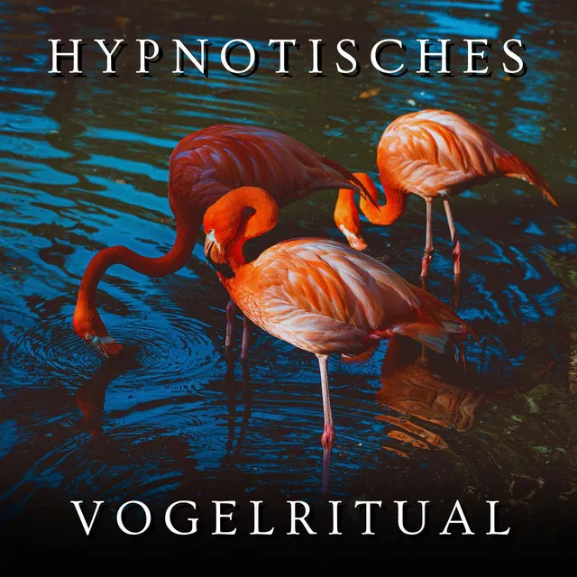 Hypnotisches Vogelritual, Pt. 7