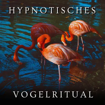 Hypnotisches Vogelritual by Vogelstimmen Welt