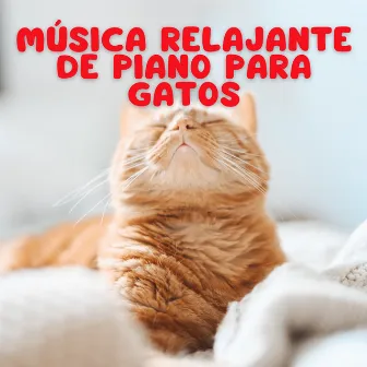 Música Relajante De Piano Para Gatos by Relajación de piano definitiva