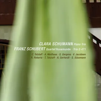 C. Schumann: Piano Trio in G Minor, Op. 17 / Schubert: String Quartet No. 13 in A Minor, D. 804 