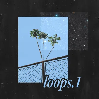 loops.1 by alfie.