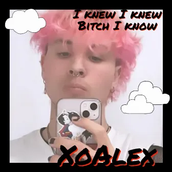 I Knew I Knew Bitch I Know by XoAlex