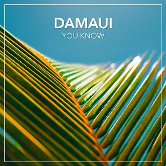 You Know by Damaui