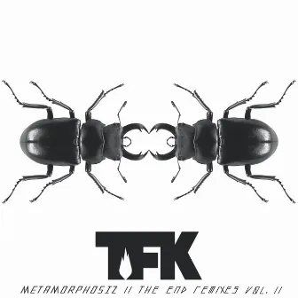 Metamorphosiz: The End (Remixes, Vol. 2) by Thousand Foot Krutch