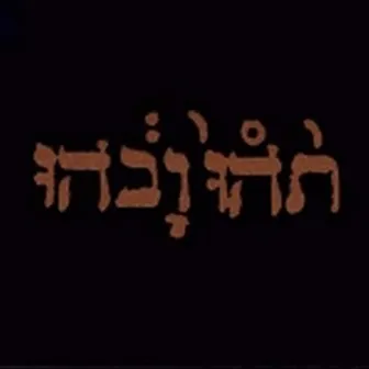 Slow Riot for New Zero Kanada by Godspeed You! Black Emperor