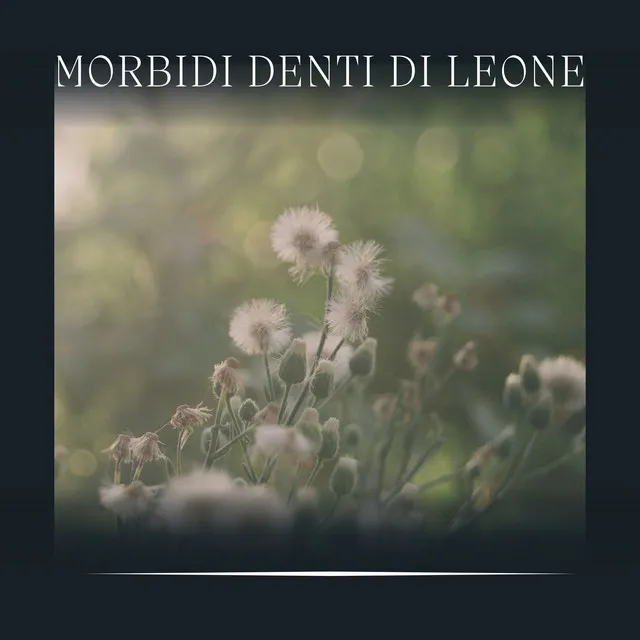 Morbidi Denti di Leone