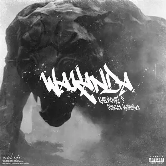 Wakanda. by Nate Donk!