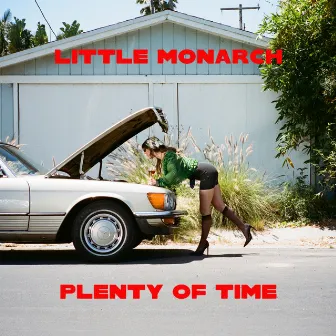 Plenty Of Time by Little Monarch