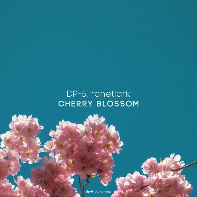 Cherry Blossom