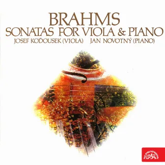 Brahms: Sonatas for Viola & Piano by Jan Novotný