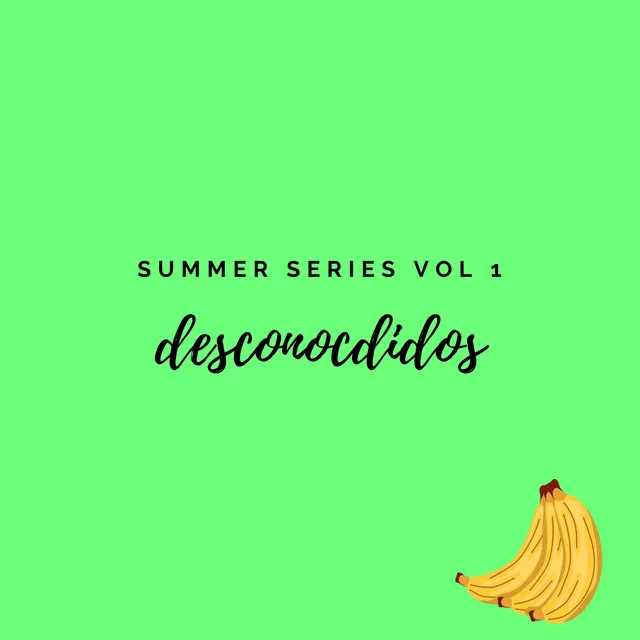 Desconocidos (Summer Series Vol.1)