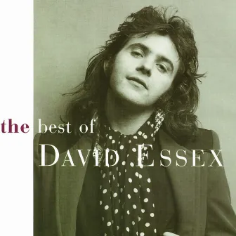 Best Of David Essex by David Essex