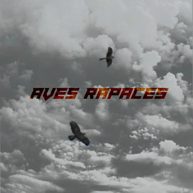 Aves Rapaces