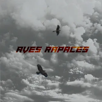 Aves Rapaces by Cess